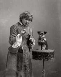 Washington, D.C., circa 1873-1916. "Unidentified woman with dog. Date based on span of years of Bell Collection." 5x7 glass negative from the C.M. Bell portrait studio. View full size.