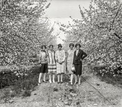 Spring Is Here: 1926