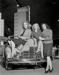 1939. "General Motors exhibit, Golden Gate International Exposition, San Francisco. Girls on Oldsmobile convertible coupe." A showcase for the latest in body and chassis developments. 8x10 Agfa film negative. View full size.