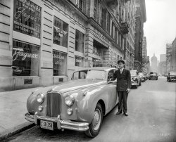 New York, 1951. "Hoffman Motors, Park Avenue. Driver standing next to Jaguar Mark VII saloon." 5x7 acetate negative by John M. Fox. View full size.