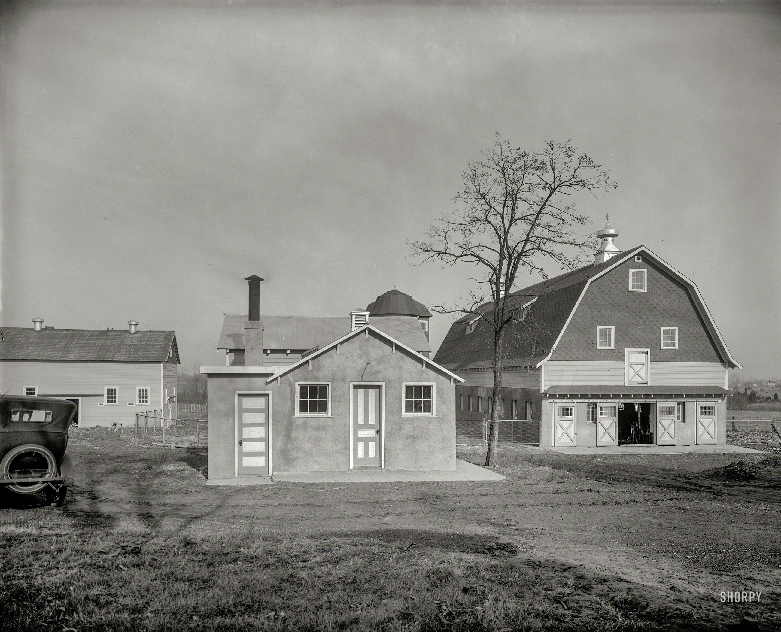 Circa 1925. "Chestnut Farms Sanitary Dairy." The cows were pastured somewhere near Philadelphia, their milk processed at George Oyster's dairy plant on Connecticut Avenue in Washington. 8x10 inch glass negative. View full size.