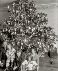 "Dickey Christmas tree, 1915." The family of Washington lawyer Raymond Dickey, whose somewhat unhinged holiday photos are a Christmas tradition here at Shorpy. National Photo Company Collection glass  negative. View full size.