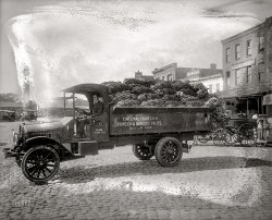Washington, D.C., circa 1921. "National Fruit Co. banana truck." Salvatore Scalco's produce business on Louisiana Avenue. National Photo Company glass negative. View full size.