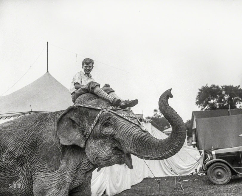 The Elephant Boy: 1927