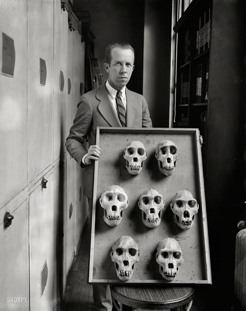 Seven Skulls: 1927