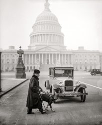 &nbsp; &nbsp; &nbsp; &nbsp; In a tragic twist of fate, Senator Schall -- whose blindness was the result of being shocked by an electric cigar lighter in 1907 -- died seven years after this picture was made, struck by a car while crossing the Baltimore-Washington Parkway.
January 1928. "CANINE CHAPERONE. Senator Thomas D. Schall, blind solon from Minnesota, is now able to get around the Capitol without an attendant since his specially trained German police dog has arrived to lead him around. The dog, 2 years old, has been specially trained for the purpose." 4x5 inch glass negative, Harris & Ewing Collection. View full size.