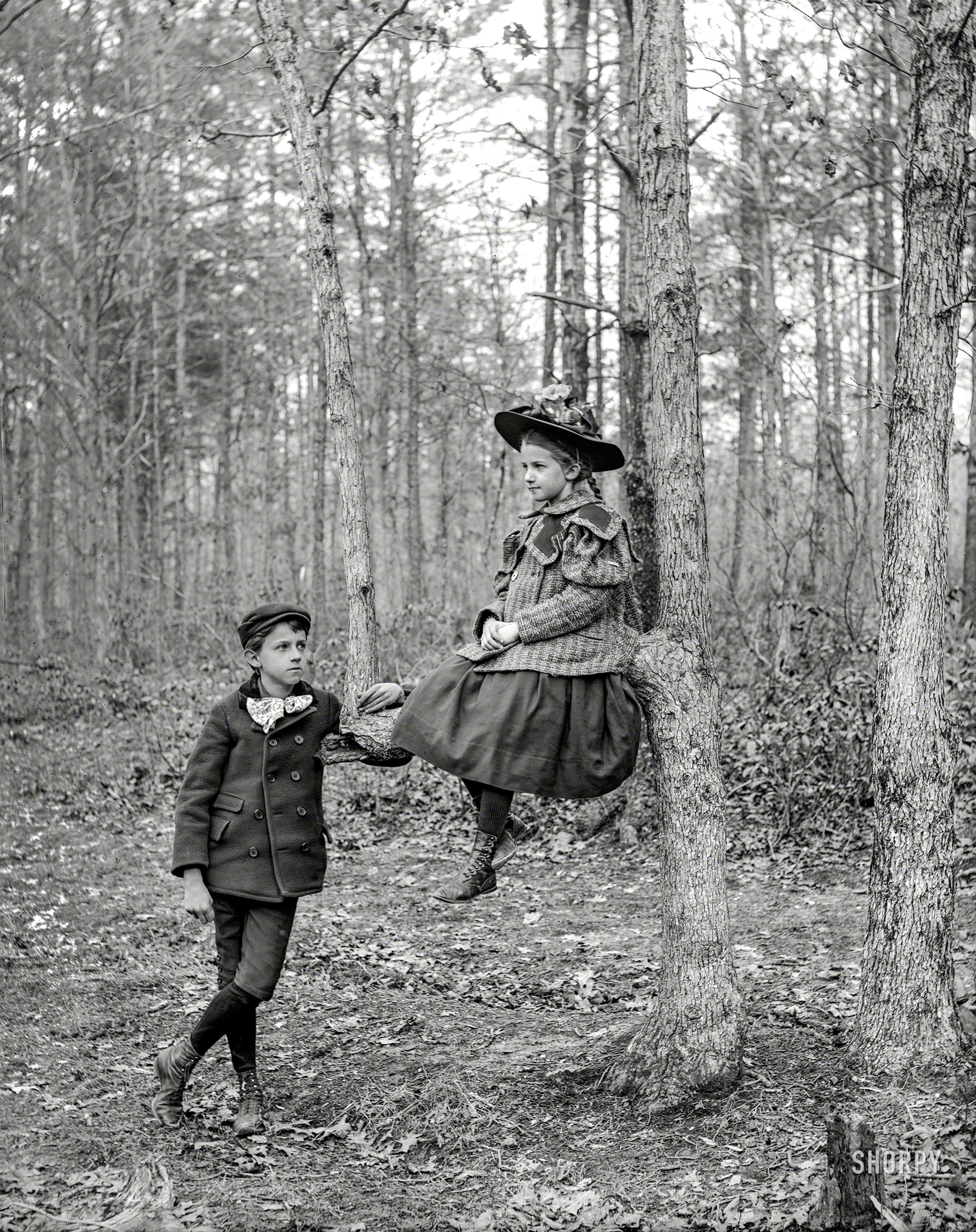 Takoma Park, Md., circa 1895. Another look at Willard and Helen Douglas and their 90-degree tree. 5x7 glass negative by Edward M. Douglas. View full size.