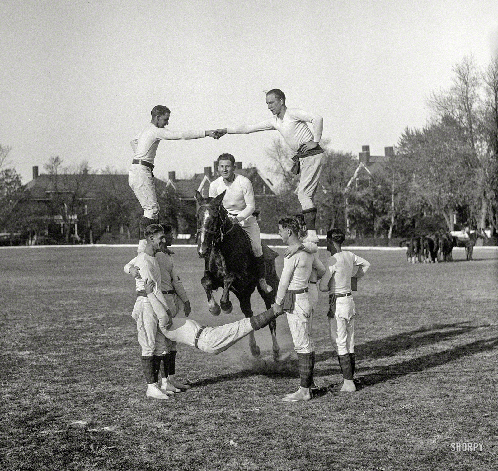 Washington, D.C., 1930. "NO CAPTION (horse jumping through group of men)." Harris & Ewing Collection glass negative. View full size.