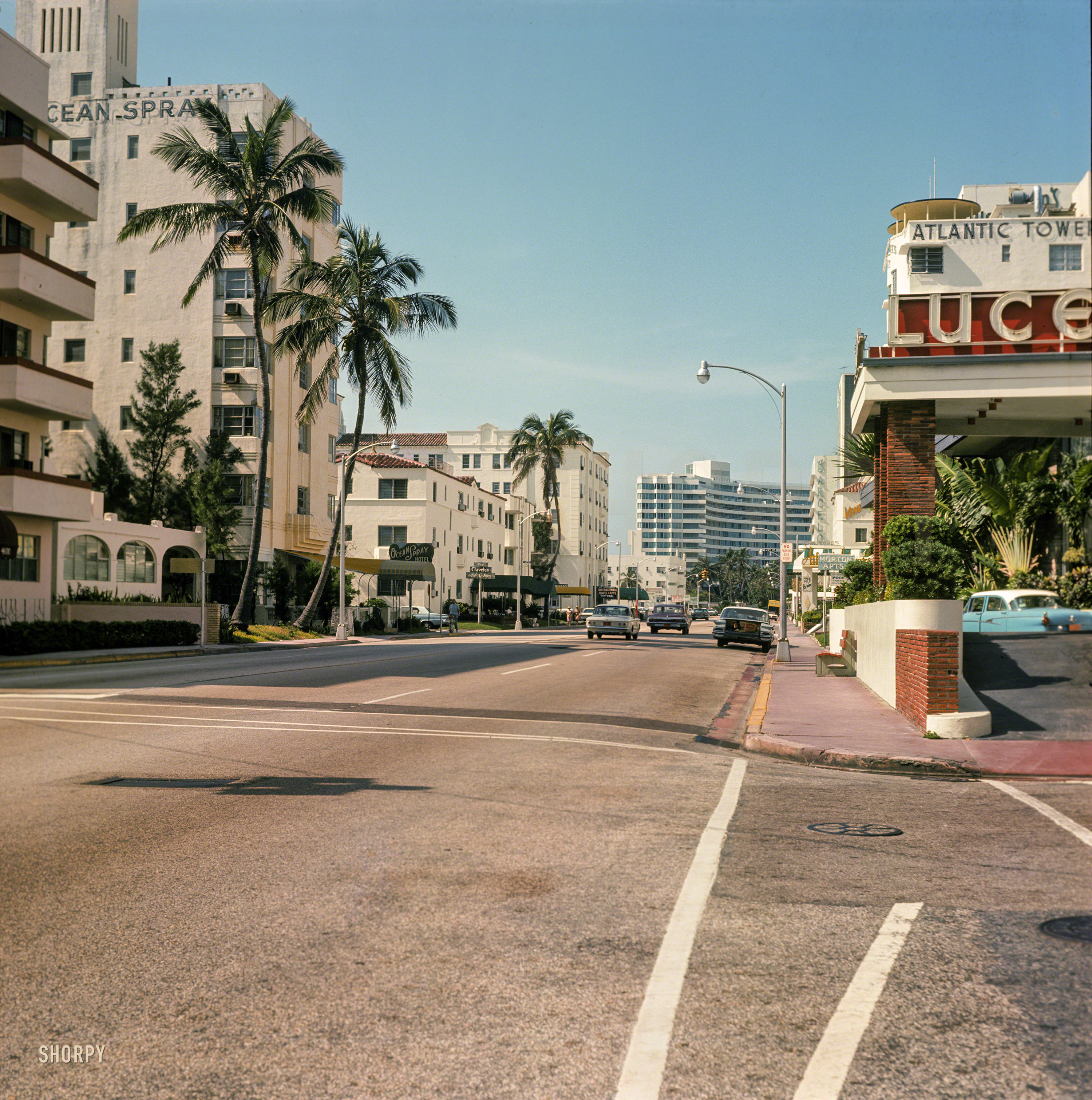 1964. "Collins Avenue, Miami Beach." With the Ocean Spray Hotel representing the Art Deco old guard and the curvy Fontainebleau the new. Medium format slide snatched from the jaws of eBay and scanned by Shorpy. View full size.