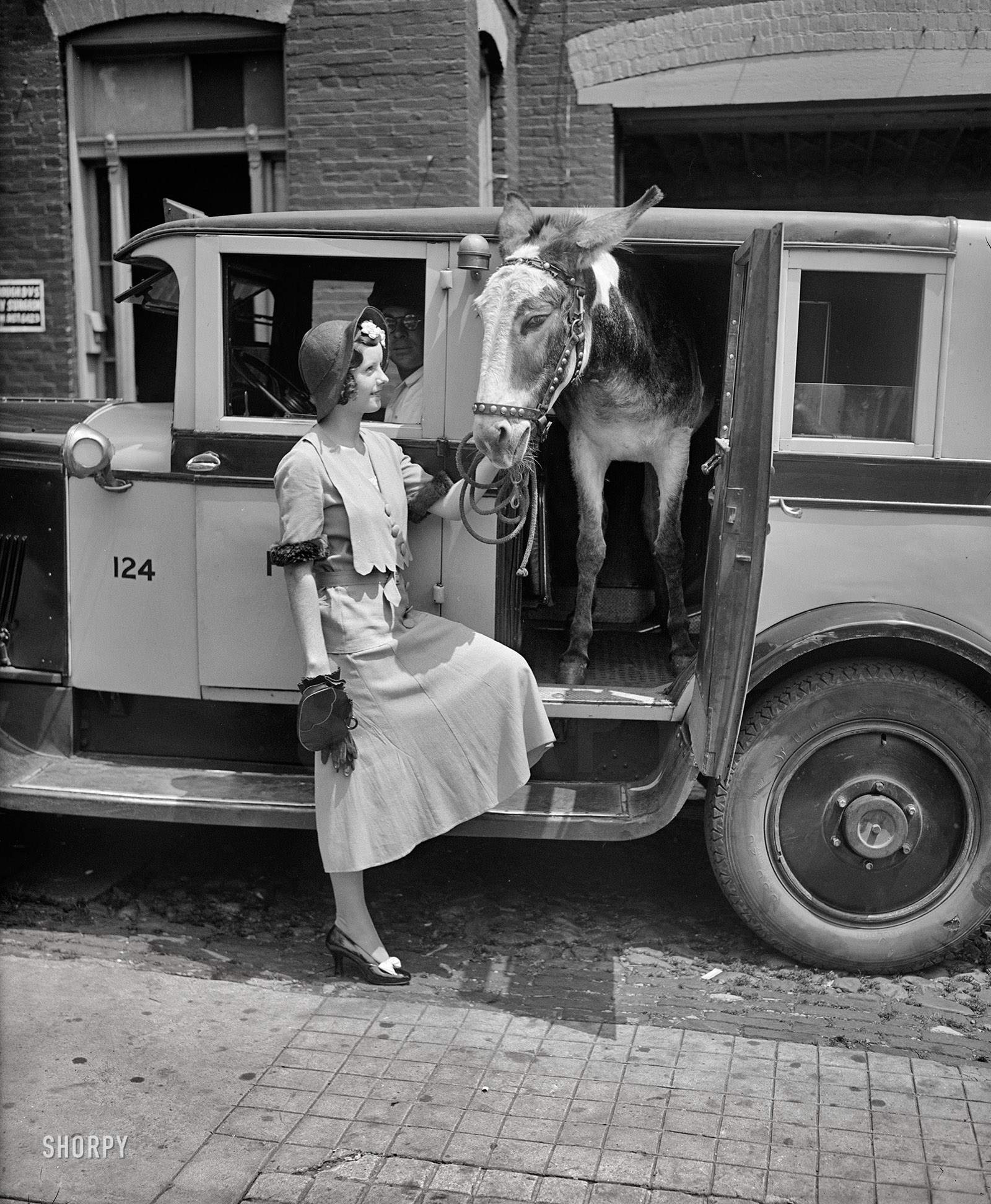 Washington, D.C., 1931. "Woman with donkey in taxicab." For anyone who's ever been instructed to "get your a__ over here RIGHT NOW," here's one possible solution. Harris & Ewing Collection glass negative. View full size.