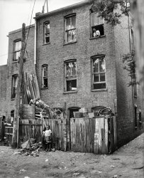 1935. "Row houses in Washington, D.C." Running the vertical gamut from natty to gritty. Harris &amp; Ewing Collection glass negative. View full size.
Little boysI think these cute little boys deserve at least one comment!  I wonder if the family had a small scale salvage yard.  There are several groups of like items there that could have been sold for something.  I just hope they did it sometime in the next five years.  After that, the government would have wanted it and not paid a whole lot for it!
(The Gallery, D.C., Harris + Ewing, Kids)