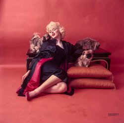 Red Marilyn: 1955
