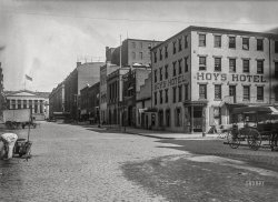 Washington, D.C., circa 1901. "View of Eighth Street N.W., east side, looking north from D Street with Hoy's Hotel on the corner and the U.S. Patent Office building at the end of the street." 5x7 inch dry plate glass negative, D.C. Street Survey Collection. View full size.