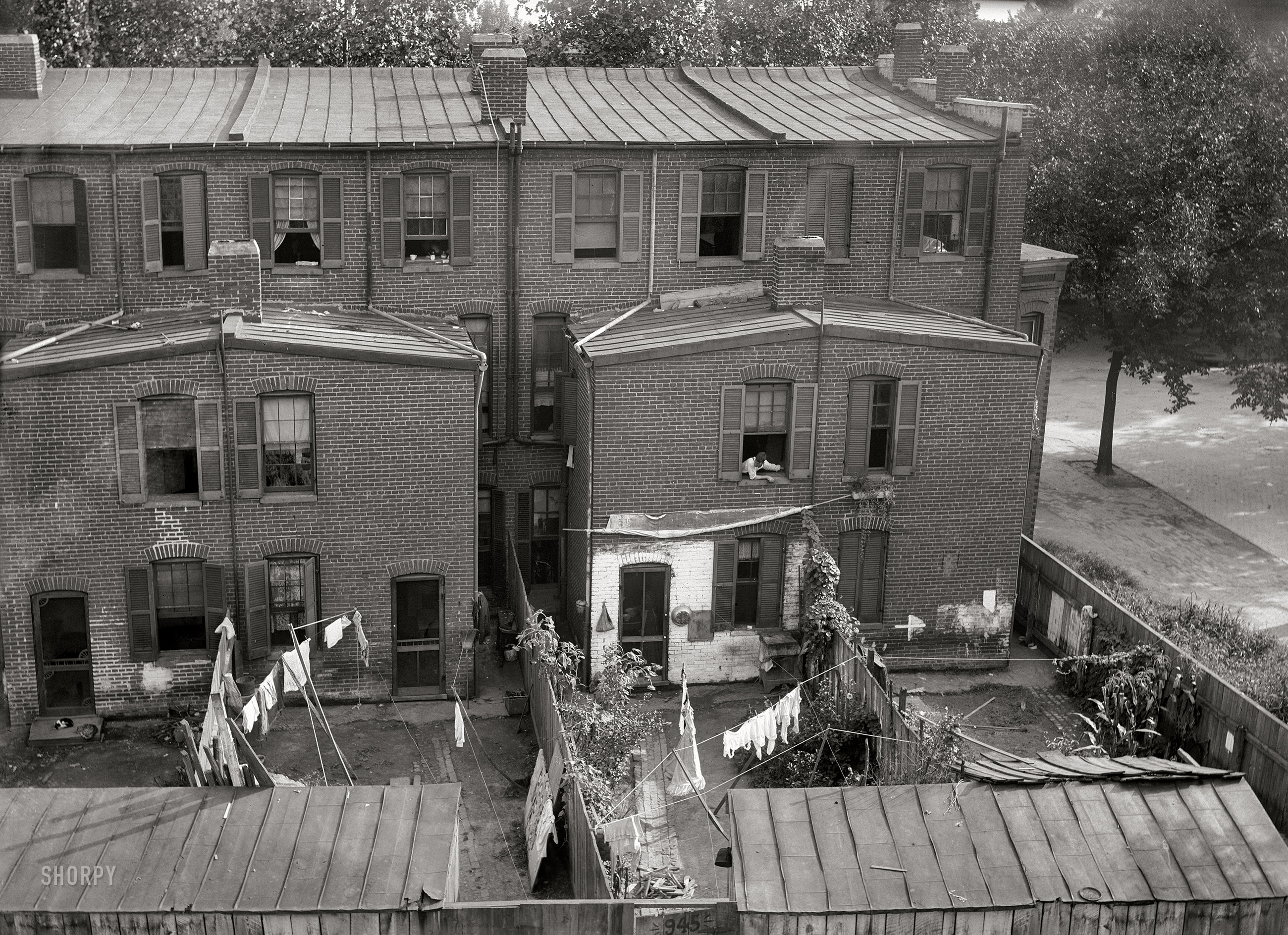 Washington, D.C., circa 1901. "An elevated view of rowhouses, probably in S.W., showing laundry hanging on clotheslines in back yards." Also Mr. Upstairs keeping an eye on Miss Downstairs. 5x7 inch glass negative, D.C. Street Survey Collection. View full size.