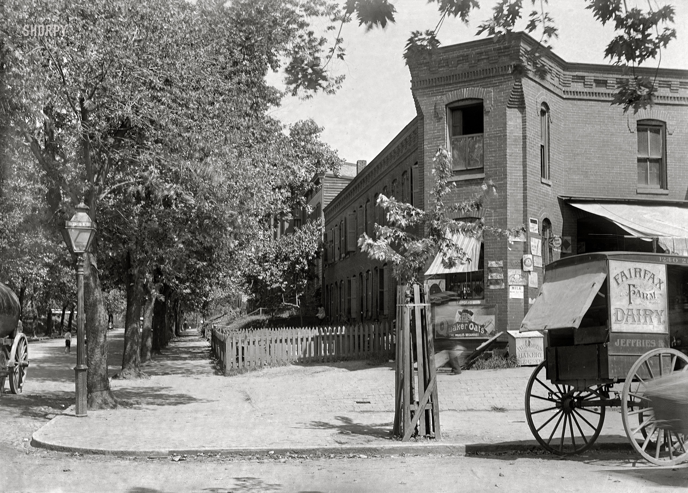 Washington, D.C., circa 1901. "View of 21st Street N.W., east side, looking north from E Street, with dairy cart at the curb in front of a corner shop." 5x7 inch glass negative.  View full size.