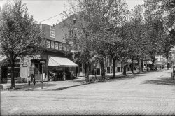 Washington, D.C., 1901. "Block 290. View of 12th Street N.W., west side, looking north from E Street toward F Street." 5x7 inch glass negative, D.C. Street Survey Collection. View full size.
