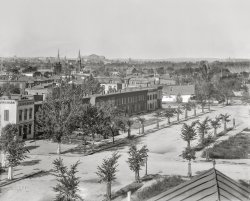 Delaware Avenue: 1901