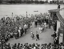 June 17, 1922. Washington, D.C. "Washington Advertising Club bathing beauty contest at Tidal Basin." Harris &amp; Ewing Collection glass negative. View full size.
&nbsp; &nbsp; &nbsp; &nbsp; "Quintet of beauties wore the models of Lansburg &amp; Brother, which captured first prize in the store competition." Caboose of the quintet is Miss Iola Swinnerton, First Lady of Shorpy, who took second in the individual costume contest. Read all about it here.
Miss IolaIt's nice to see her again, even if only a glance.
Laurels to Former Follies Girl
Washington Post, June 18, 1922.


CROWN ANNA NIEBEL
BEACH STYLE QUEEN
Judges at Tidal Basin Contest
Award Costume Laurels to
Former Follies Girl
5,000 WATCH AS 45 PARADE
Simple Attire Wins -- Miss Swinnerton Second -- Lansburgh's Captures Store Prize
&nbsp; &nbsp; &nbsp; &nbsp; Five thousand Washington lovers of the aesthetic, artistic and beautiful -- and, incidentally, of aquatic pastimes -- crowded the Tidal Basin bathing beach yesterday afternoon to witness the annual bathing costume style show, staged under the auspices of the Washington Advertising club. Bathing costumes entered by 11 local stores were exhibited by 45 selected models.
&nbsp; &nbsp; &nbsp; &nbsp; Miss Anna Niebel, former Follies girl, who lives at 1370 Harvard street northwest, won first prize by unanimous vote of the judges. Her prize-winning costume was one of the most simple exhibited, indicating that the element of practical usefulness was taken into consideration by the judges in making the award. She represented the Sportmart [seen here, here and here].
Former Winner Takes Prize.
&nbsp; &nbsp; &nbsp; &nbsp; Miss Iola Swinnerton, 3125 Mount Pleasant street, winner of a former beauty contest at the basin, was the second choice of the judges. Her suit was one of the five entered by Lansburgh &amp; Bros., the firm to which was awarded the cup for the best composite store exhibit.
&nbsp; &nbsp; &nbsp; &nbsp; L.E. Rubel, chairman of the Advertising club committee, in charge of the contest, presented the cups to the winners.
&nbsp; &nbsp; &nbsp; &nbsp; The entries ranged from the extreme simplicity of the one-piece type of suit with the abbreviated skirt to more elaborate creations with multitudinous frills and ruffles. A knitted toque to match the wearer's suit was one of the innovations in bathing headgear that attracted attention.
Not So Much Scantiness.
&nbsp; &nbsp; &nbsp; &nbsp; Most of the suits were more extensive, so far as the amount of material used was concerned, than those exhibited in former years. A rubber suit of green and white cut on extremely loose lines set the pace for originality.
&nbsp; &nbsp; &nbsp; &nbsp; Weather conditions were ideal for the show, although it had been announced that all suits entered were of the kind that could have been worn in the rain without damage.
Iola!As always, I only have eyes for Ms. Swinnerton. She is always lovely.
Iola&#039;s second 15 minutes of fameAfter the roaring twenties, Iola Swinnerton's trail goes cold for a while. But in the 1940s, she reappeared in various daily newspapers as "Chicago's Stone Woman," a reference to a disabling affliction that caused some of her muscle tissue to calcify, leaving her disabled. Her 1942 marriage to Theron V. Warren, described as an organist and shipyard worker, was also covered, including photos in various papers of her repeating her vows from her wheelchair. Other than an unsuccessful petition for certiorari to the U.S. Supreme Court filed on behalf of Theron V. Warren in 1958, and his death in 1975, I could find no other clues to their fate after 1947.
[According to our earlier research, Iola Taylor married Gerald Swinnerton in 1918; he deserted her in 1941. Evidently her affliction was too much for him to bear. - Dave]


(The Gallery, D.C., Harris + Ewing, Iola S., Swimming)