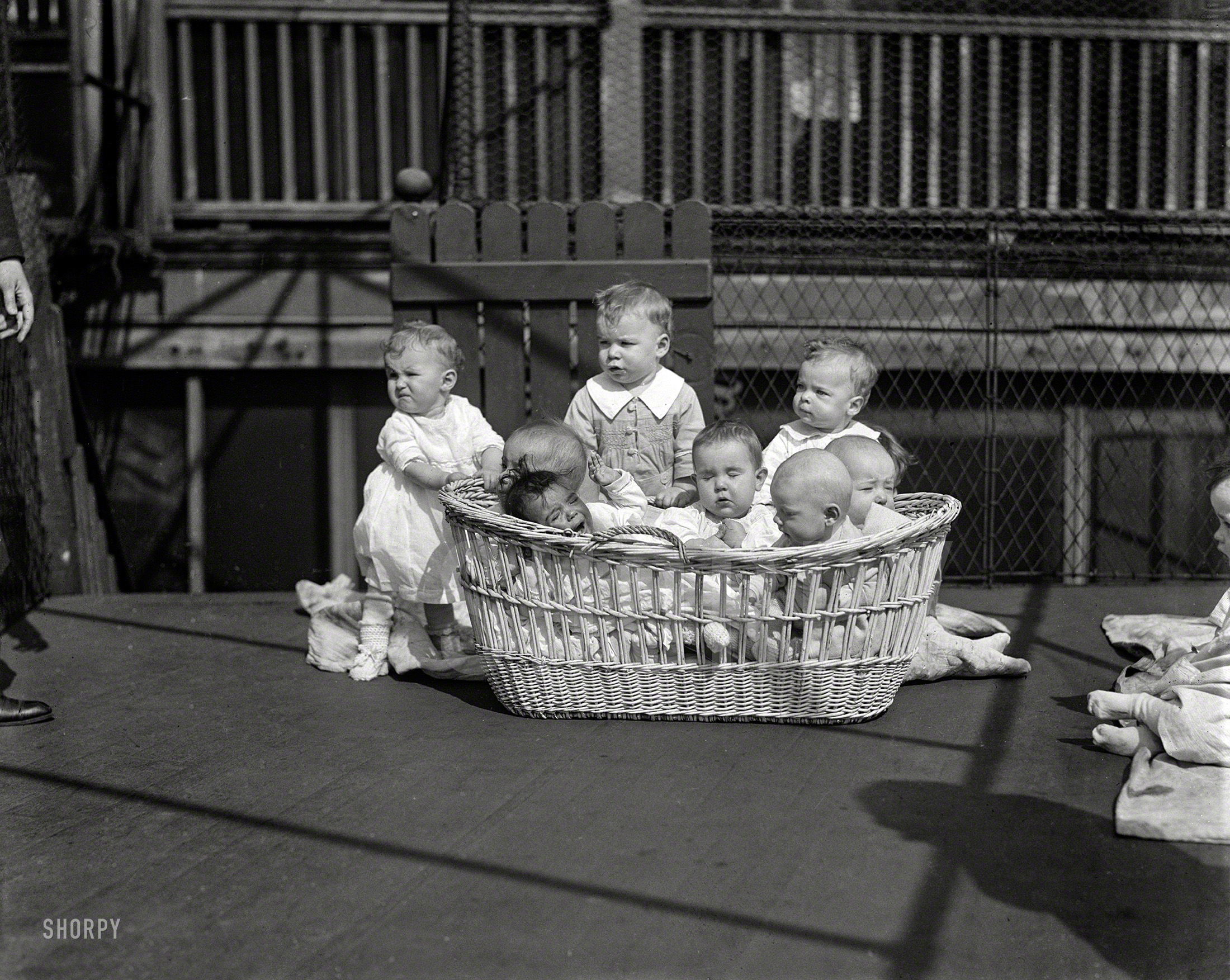 May 1923. "NO CAPTION (Babies in a basket)." We sense a baby rebellion brewing, instigated by the tot on the left. 4x5 inch glass negative. View full size.