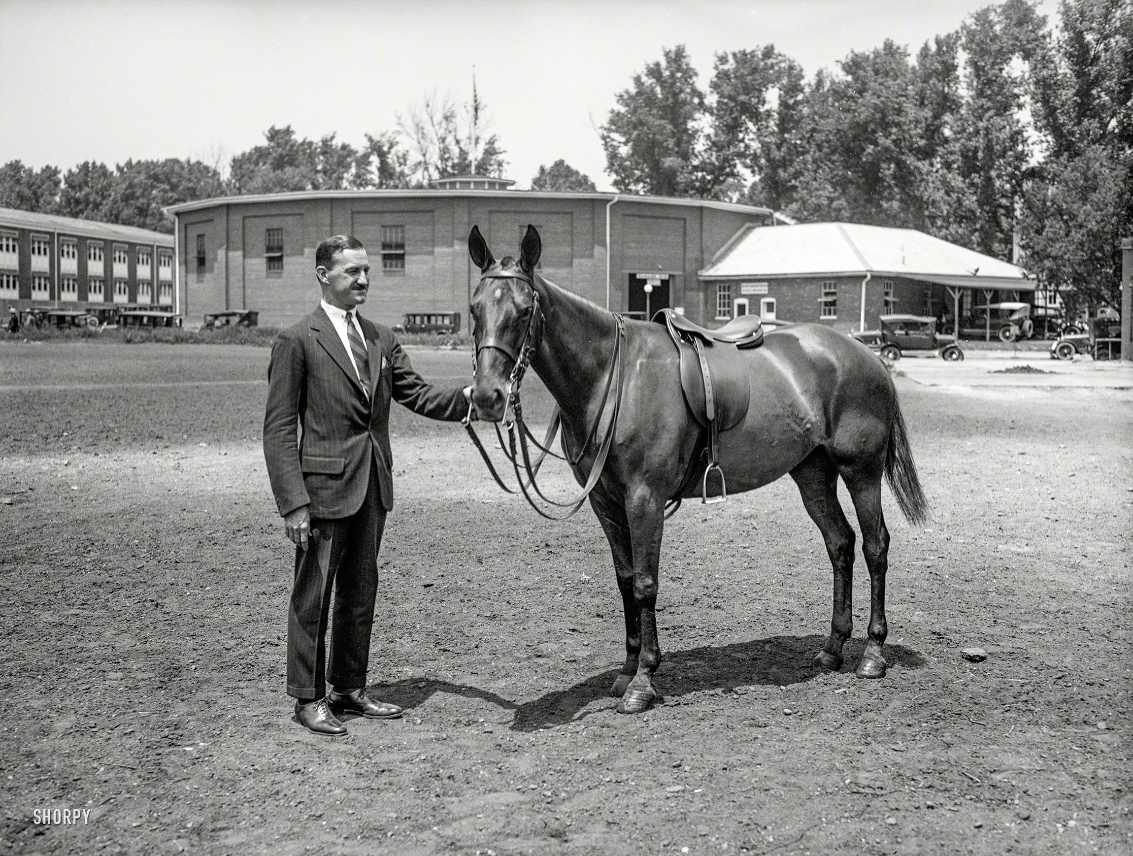 May 1925. "Major John G. Quekemeyer, formerly aide-de-camp to General Pershing, with 'Argentina,' a 6-year-old Polo pony given to him by the Minister of War of the Argentine Republic, General Justo. The General presented six ponies while he was in South America." Harris & Ewing glass negative. View full size.