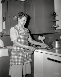 &nbsp; &nbsp; &nbsp; &nbsp; "Remove from oven. Place on platter garnished with parsley and passive-aggression; serves your entire ungrateful family."
Columbus, Georgia, circa 1950. "Mrs. D.L. Randall." 4x5 inch acetate negative from the Shorpy News Photo Archive. View full size.
