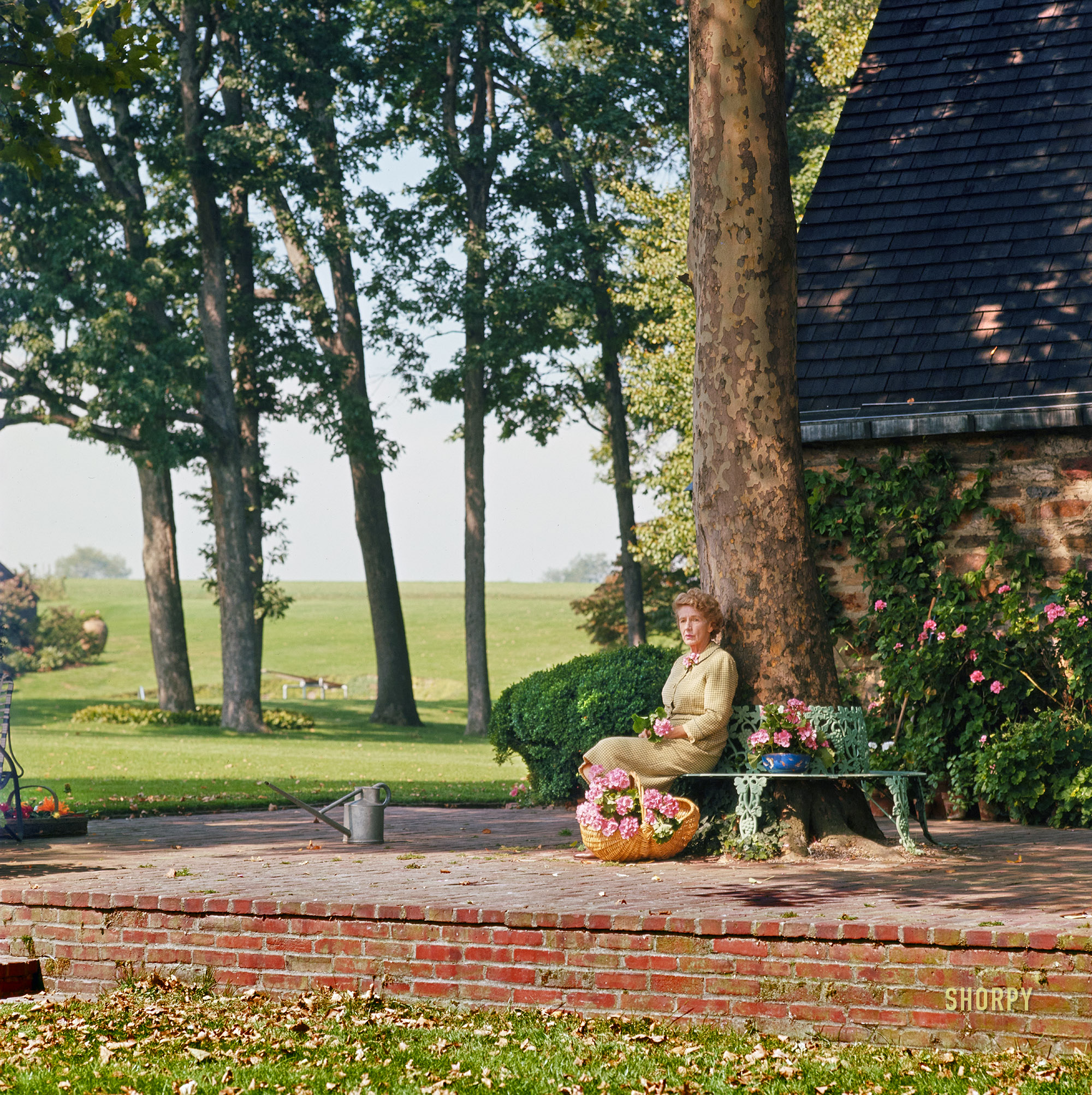 Autumn 1963. "Mrs. Robert McLean." The former Clare Randolph Goode (1894-1983) was married to the longtime president of the Associated Press, who was also chairman of the Philadelphia Bulletin. And whose estate in the Philadelphia suburb of Fort Washington was called Pheasant Run Farm. 120mm color transparency by Toni Frissell. View full size.