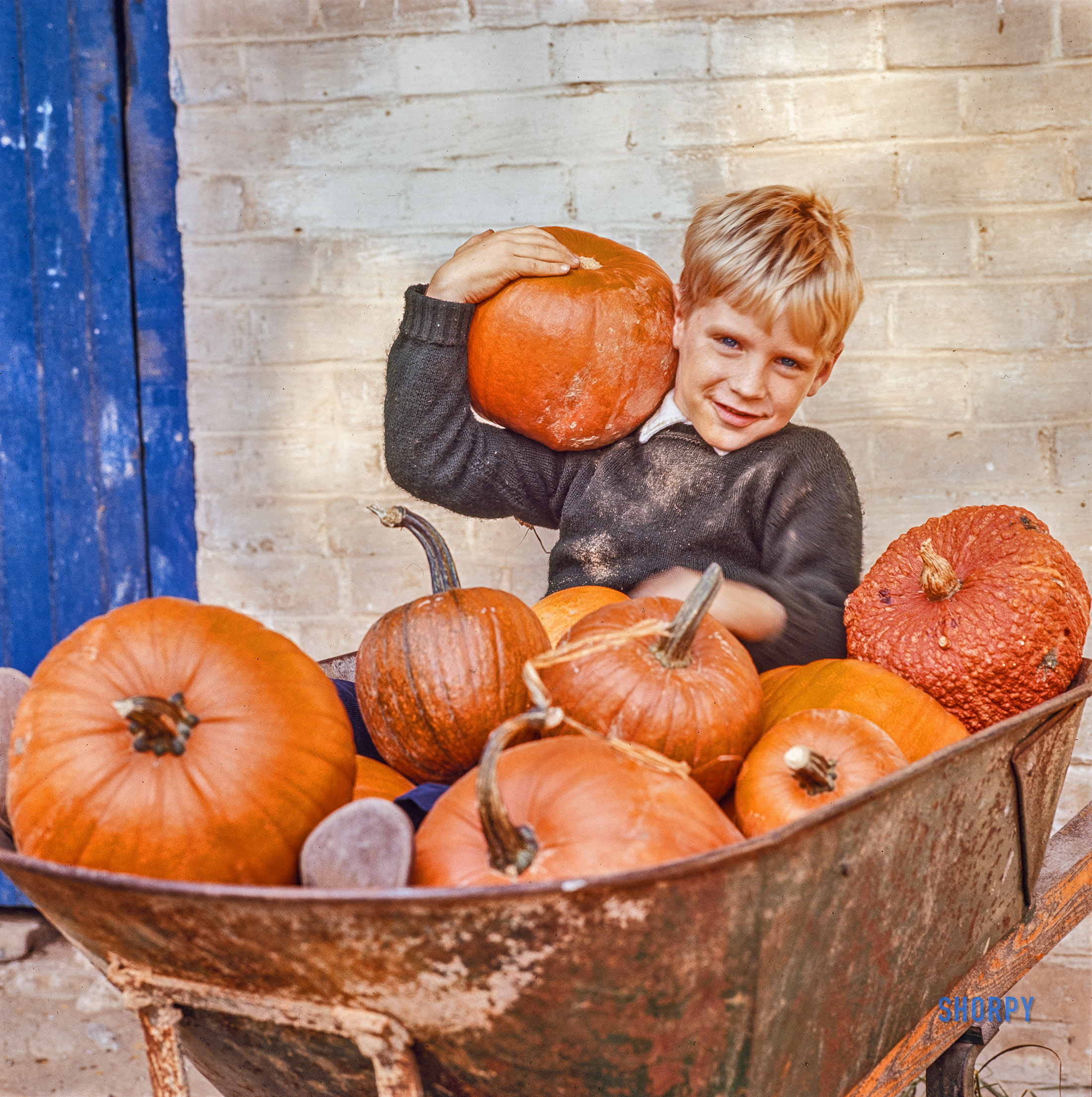 Fort Washington, Pennsylvania, 1963. "Shooting fashions and autumn scenes at Pheasant Run Farm, home of Mrs. Robert McLean." 120mm color transparency by Toni Frissell. View full size.