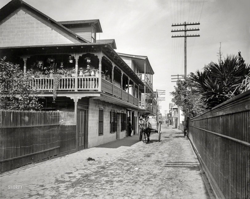 St. Augustine, Florida, circa 1894. "St. George Street." Our second look today at this bustling thoroughfare. Photo by William Henry Jackson. View full size.
