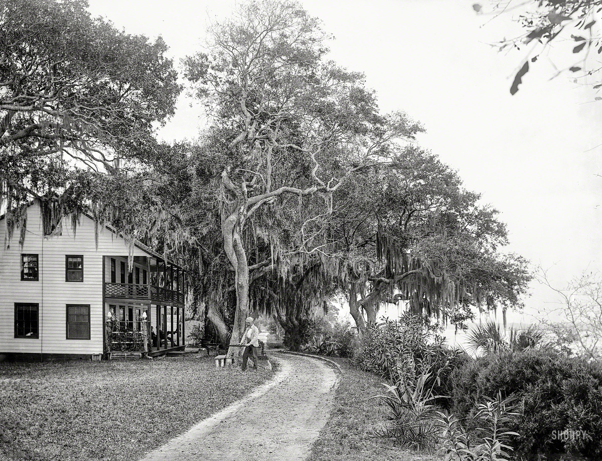 Volusia County, Florida, circa 1890. "Bostrom's on the Halifax near Ormond." A tourist boarding house built by the town's first settlers, the Bostrom brothers. 8x10 inch dry plate glass negative by William Henry Jackson. View full size.