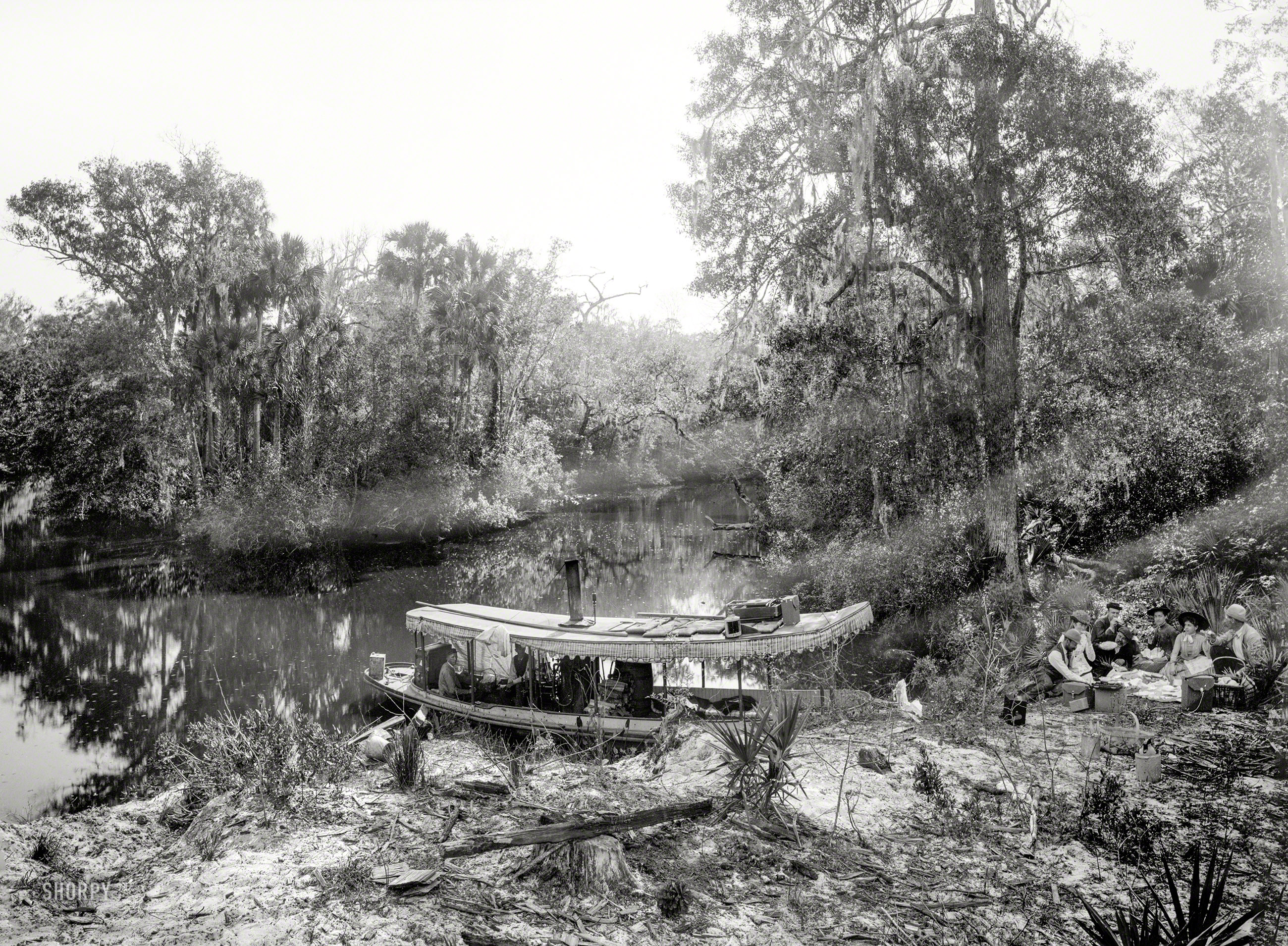Volusia County, Florida, circa 1897. "Picnic landing on the Tomoka." With much photographic equipment strewn about, and a proffering of pie. 8x10 inch glass negative by William Henry Jackson, Detroit Photographic Co. View full size.