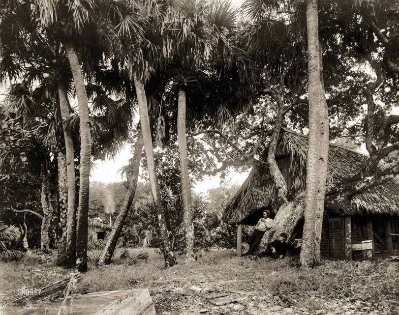 Indian River County, Florida, circa 1890. "Dawson's, Gem Island, Indian River." The homestead of Lewis Bebee Dawson (1836-1904) and two young men, one of them possibly his son Lewis Mills Dawson (1877-1907). 8x10 inch dry plate glass negative by William Henry Jackson. View full size.
