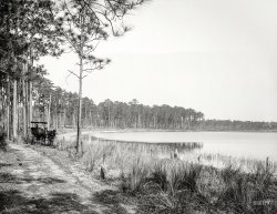 Volusia County, Florida, circa 1897. "Lake Louise, near Seville." Before they moved it to Alberta. 8x10 glass negative by William Henry Jackson. View full size.