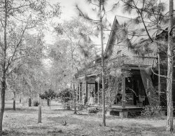 The Sunshine State circa 1897. "A Florida home -- Seville, Fla." 8x10 inch dry plate glass negative by William Henry Jackson. View full size.