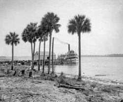 Florida circa 1897. "Sidewheeler City of Jacksonville at Beresford on the St. Johns." 8x10 inch glass negative by William Henry Jackson. View full size.