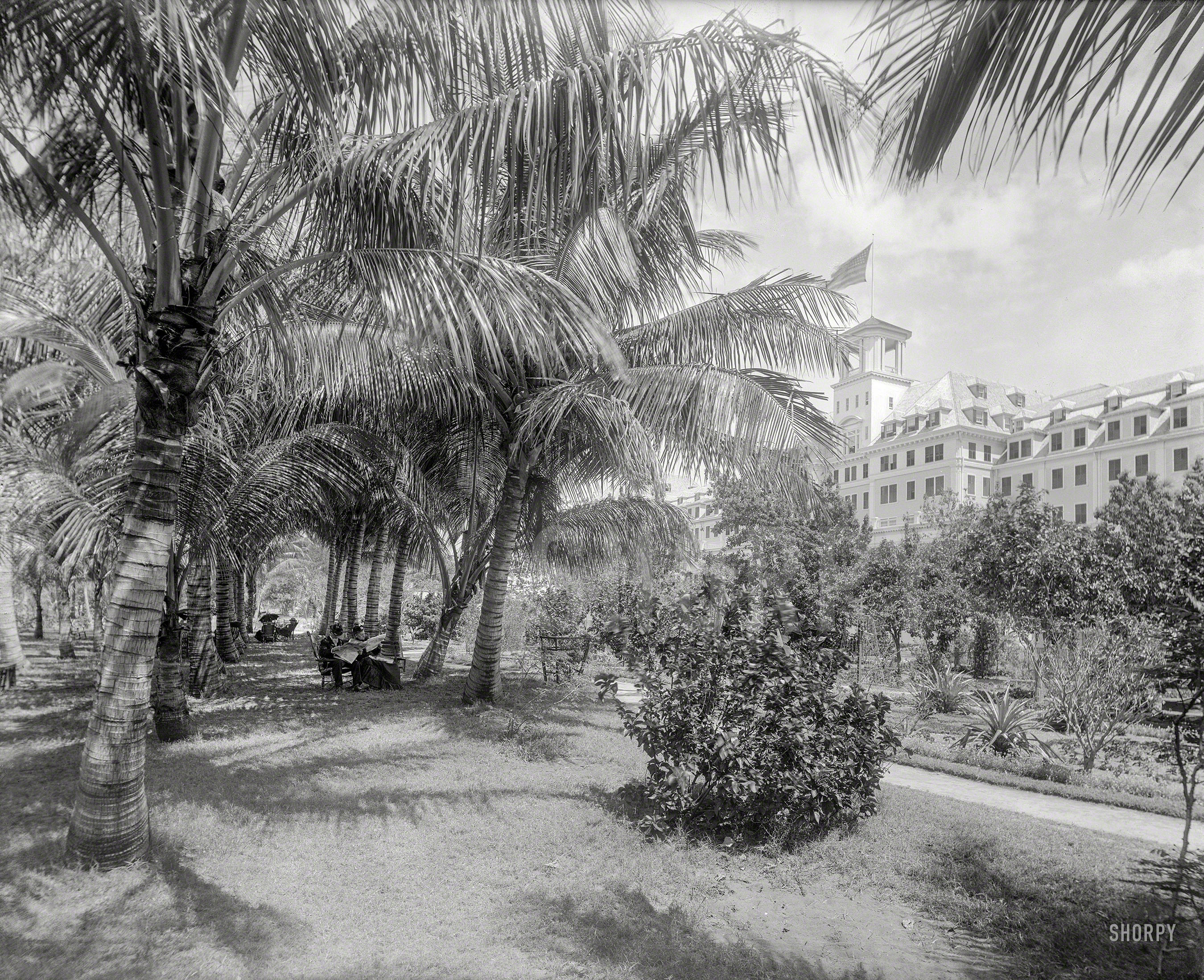 Palm Beach, Fla., circa 1894. "Hotel Royal Poinciana, Lake Worth." 8x10 inch glass negative by William Henry Jackson, Detroit Photographic Co. View full size.