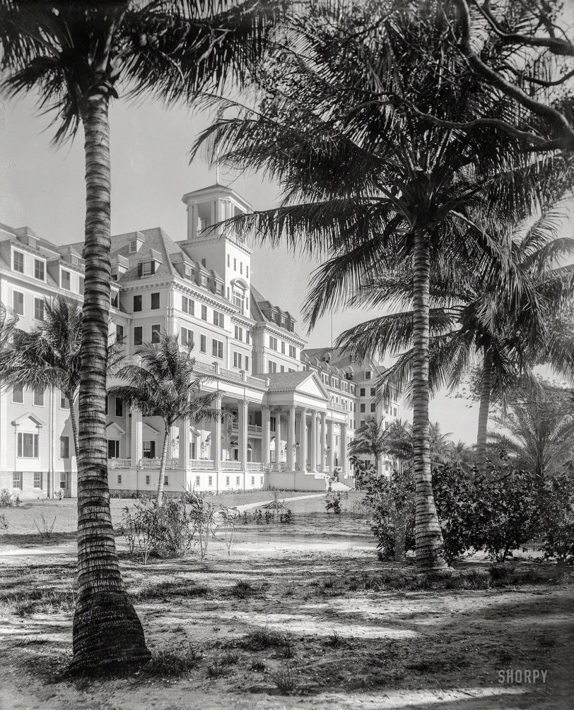 Florida circa 1894. "Hotel Royal Poinciana, Palm Beach." Railroad magnate Henry Flagler's giant wood-frame hotel, which at the time was the largest building in Florida. 8x10 inch glass negative by William Henry Jackson. View full size.
