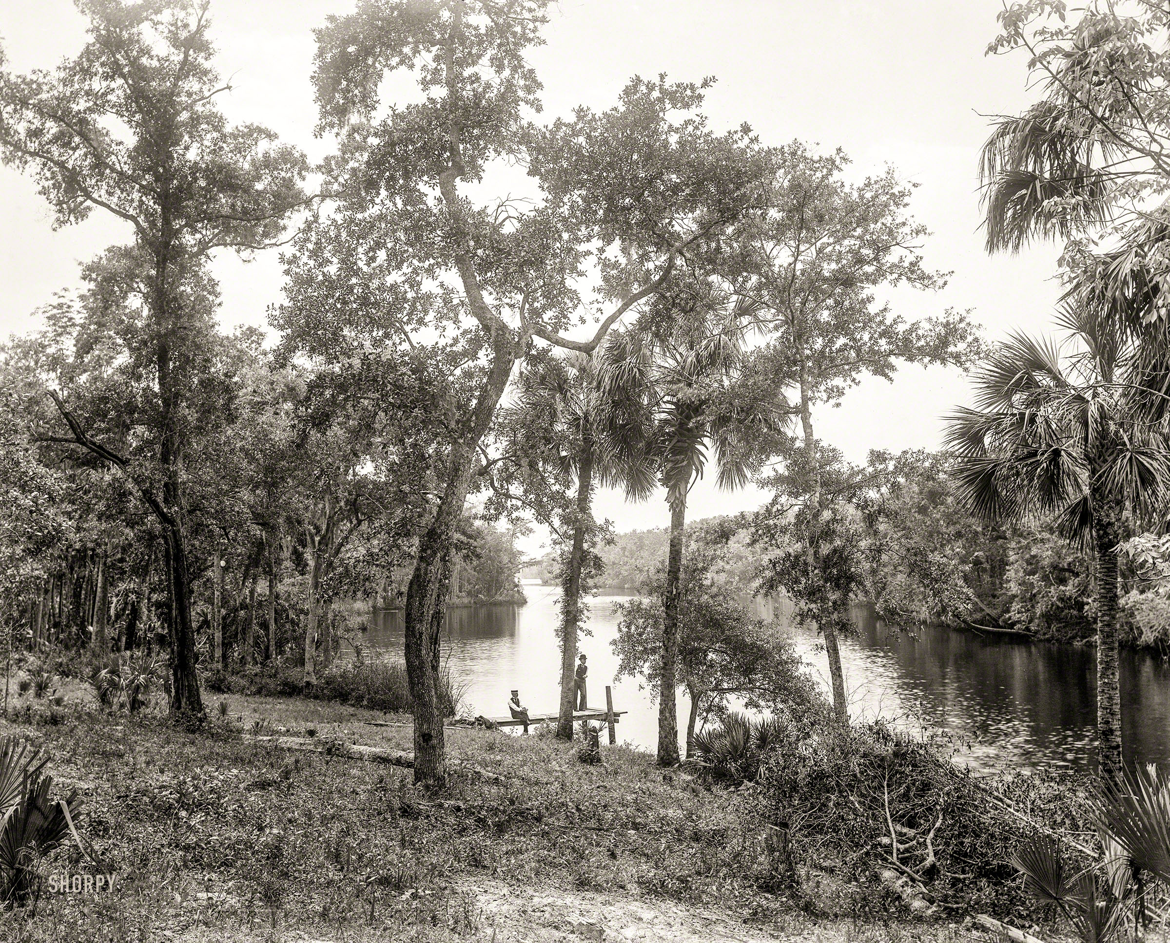 Florida circa 1894. "Misenor's Landing on the Tomoka." 8x10 inch glass negative by William Henry Jackson of Detroit Photographic. View full size. 