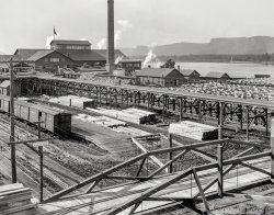 Winona, Minnesota, circa 1899. "A sawmill plant." Our title comes from the cryptic sign on the utility pole: DO NOT MEDDLE WITH THE WIRES. 8x10 inch dry plate glass negative, Detroit Photographic Company. View full size.