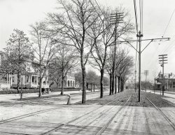 Circa 1900. "St. Charles Avenue, New Orleans." Will Desire stop, or pass you by? 8x10 inch dry plate glass negative, Detroit Publishing Company. View full size.