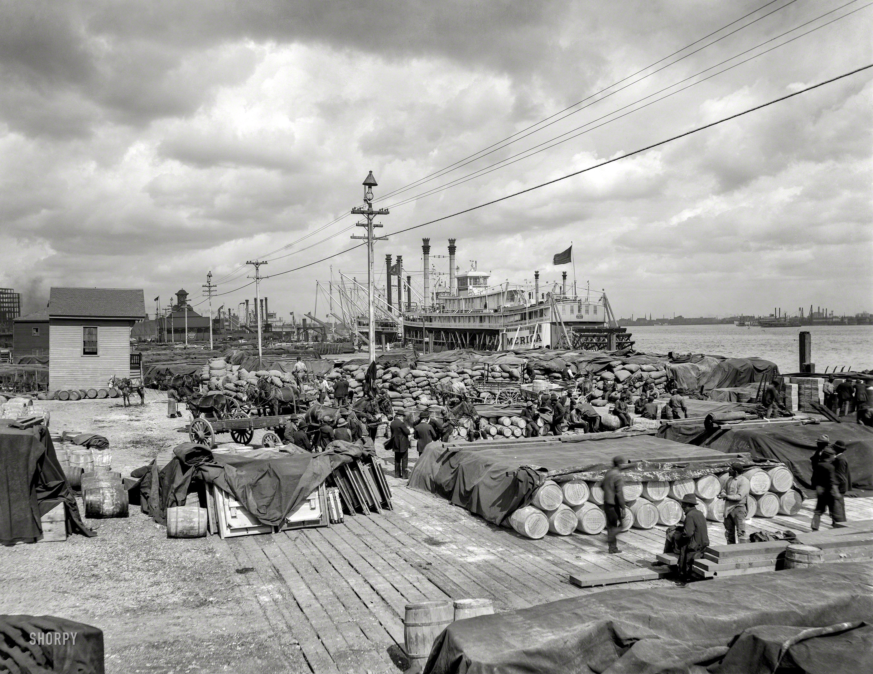 New Orleans circa 1900. "Foot of Canal Street -- Riverboat at the levee." The sternwheeler America of Galena, Illinois. 8x10 glass negative. View full size.