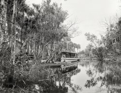 Circa 1900. "Ormond, Florida. Princess Issena at Tomoka landing." 8x10 inch dry plate glass negative, Detroit Publishing Company. View full size.