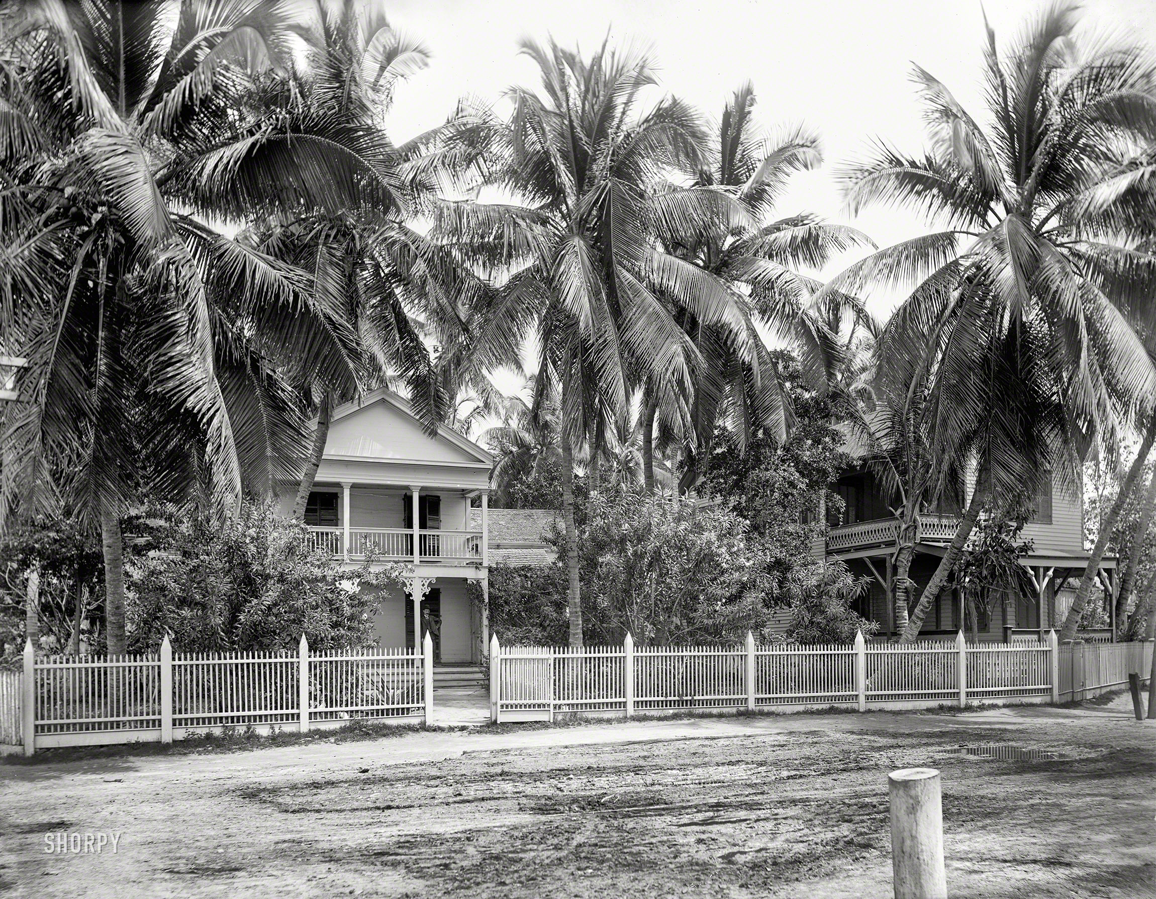 Key West, Florida, circa 1900. "Residence in palm grove." 8x10 inch dry plate glass negative, Detroit Photographic Company. View full size.