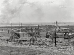Lake Erie circa 1901. "Ore docks and harbor -- Cleveland, O." 8x10 inch dry plate glass negative, Detroit Photographic Company. View full size.