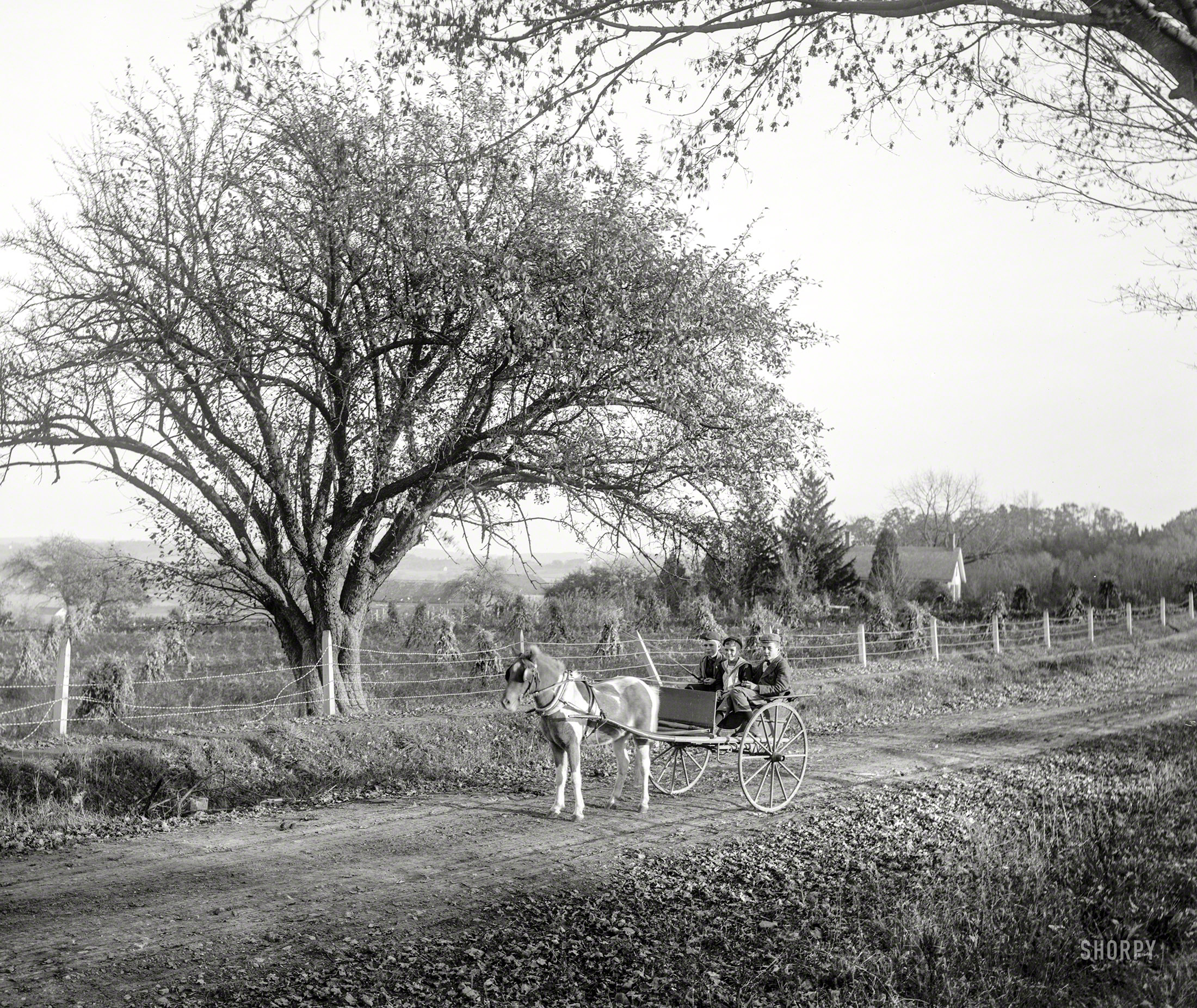 New Jersey circa 1900. "View near Basking Ridge." 8x10 inch dry plate glass negative, Detroit Publishing Company. View full size.