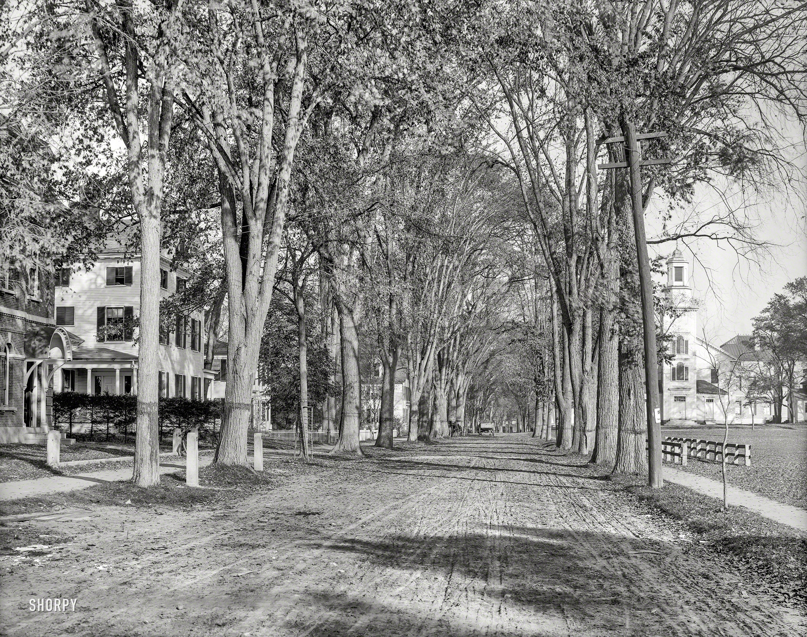 Hanover, New Hampshire, circa 1900. "North Main Street, Dartmouth College." 8x10 inch dry plate glass negative, Detroit Publishing Company. View full size.