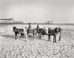 The Jersey Shore circa 1905. "Ponies on the beach at Atlantic City." In the background, the Steeplechase and Steel piers. Closer to the camera, five ponies, five boys and five incendiary Easter eggs, so to speak. View full size.