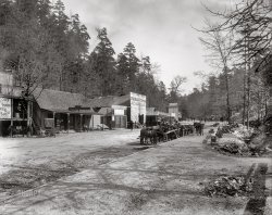 March 28, 1901. "Happy Hollow -- Hot Springs, Arkansas." You can see more of Happy Hollow here. 8x10 inch dry plate glass negative, Detroit Photographic Company. View full size.