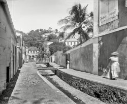 Circa 1901. "Hillside residences, St. Thomas, West Indies." To your left, the promise of REFRESHMENTS. 8x10 inch dry plate glass negative. View full size.