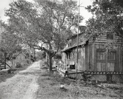 Cobb Cottage: 1900