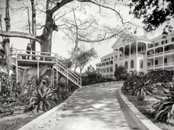 Circa 1900. "Royal Victoria Hotel, Nassau, West Indies." 8x10 inch glass negative by William Henry Jackson, Detroit Photographic Company. View full size.
